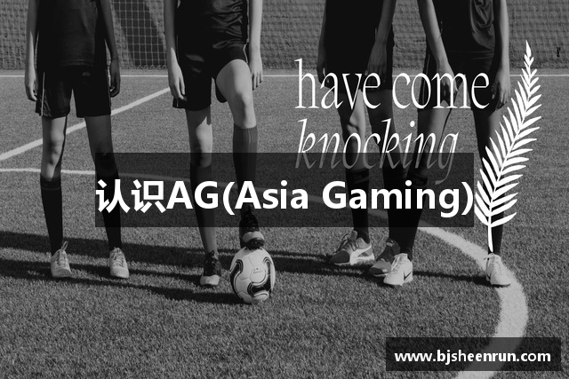 认识AG(Asia Gaming)